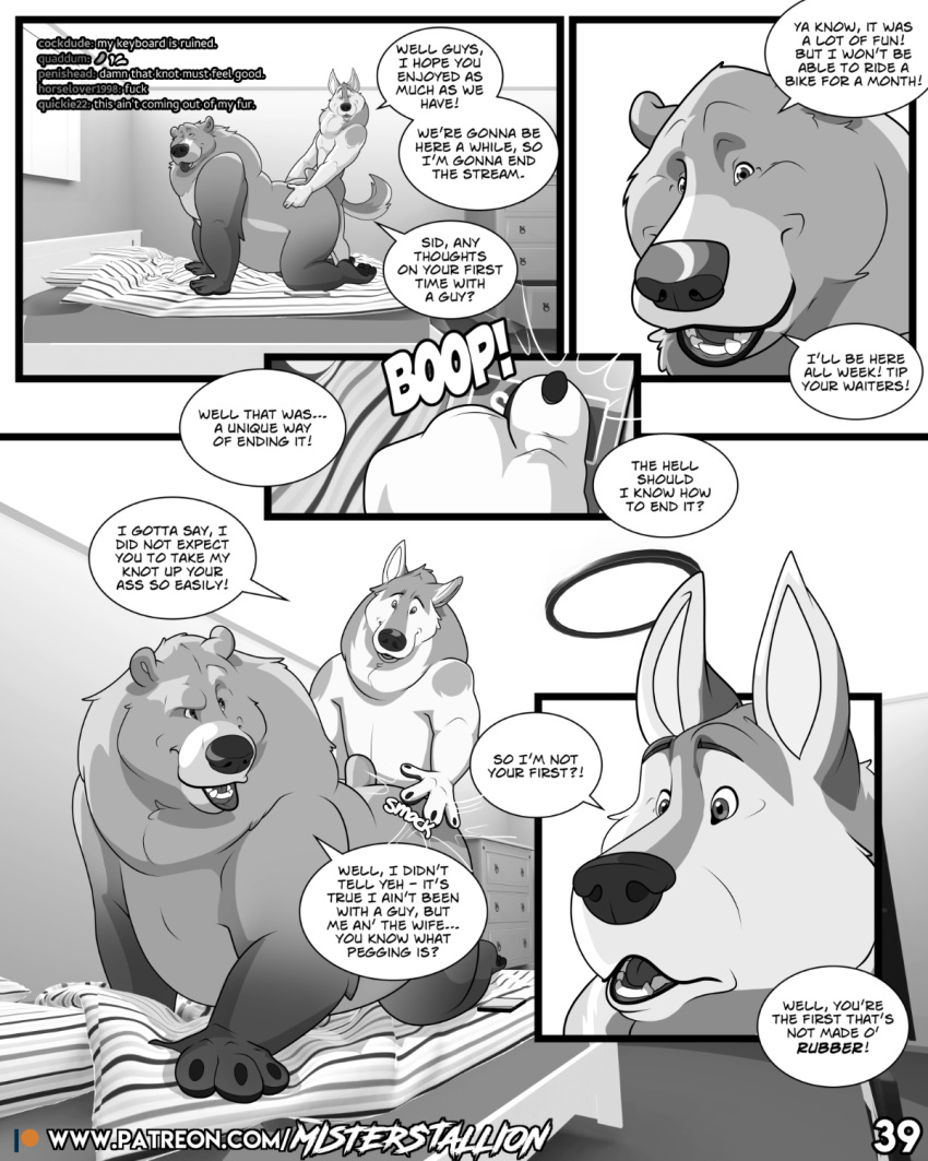 anal bear butt canid canine canis comic doggystyle from_behind_position hi_res knot male male/male mammal misterstallion sex wolf