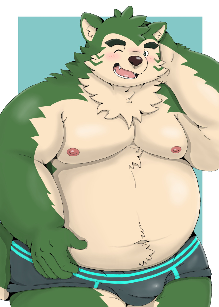 absurd_res anthro belly blush briefs bulge canid canine canis clothing cocochu_samo domestic_dog eyebrows fur green_body green_fur hi_res lifewonders live_a_hero male mammal mokdai musclegut navel nipples one_eye_closed pecs solo thick_eyebrows underwear wink
