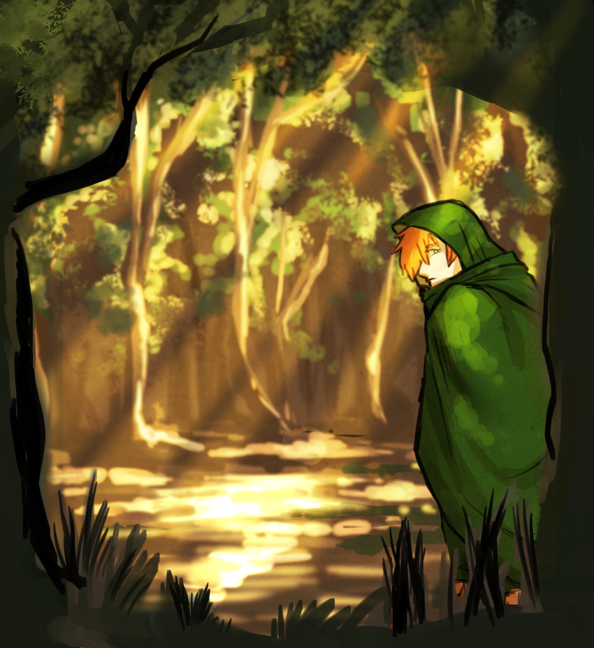 1boy cloak fate/grand_order fate_(series) forest frown green_cloak green_eyes green_hood hair_over_one_eye highres hood hood_up hooded_cloak male_focus nature orange_hair outdoors robin_hood_(fate) short_hair solo tree tsutaro_(pikatyuippei)