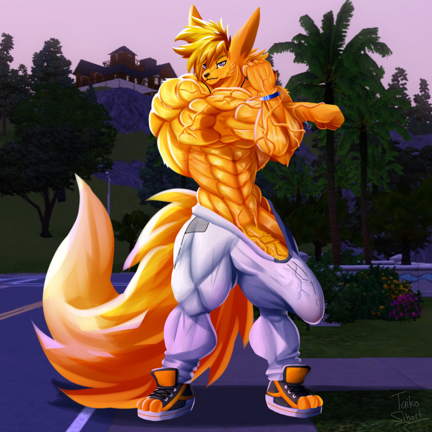 abs anthro biceps big_muscles big_penis blonde_hair bottomwear bracelet building canid canine clothed clothing erection erection_under_clothing fennec flower footwear fox fur genitals grass hair hi_res house huge_biceps huge_muscles huge_penis huge_triceps jewelry long_tail looking_at_viewer male mammal muscular muscular_anthro muscular_male muscular_thighs obliques palm_tree pants parking_lot partially_clothed penis plant pose purple_eyes shoes sky solo standing sweatpants taiko-sihori tail thick_thighs tight_bottomwear tight_clothing tree v-cut vein veiny_muscles veiny_penis yellow_body yellow_fur