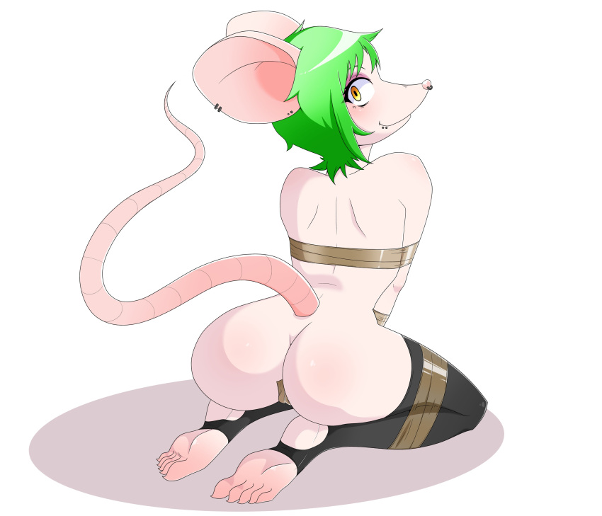 5_toes absurd_res bdsm bondage bound camel_toe eyeshadow feet female green_hair hair hi_res humanoid_feet looking_at_viewer looking_back looking_back_at_viewer makeup mammal mouse murid murine plantigrade rodent sashimi1300 solo stirrup_stockings tape toes