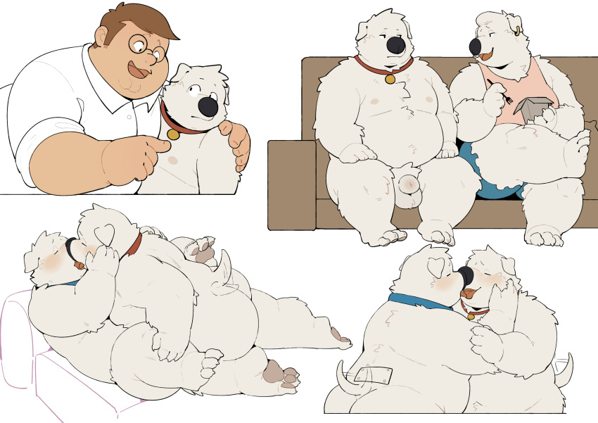 absurd_res animal_genitalia anthro balls blush brian_griffin butt canid canine canis collar domestic_dog family_guy fur genitals group hi_res human jasper_(family_guy) kissing male male/male mammal nude peter_griffin quanjiang selfcest sheath square_crossover tail tail_motion tailwag white_body white_fur