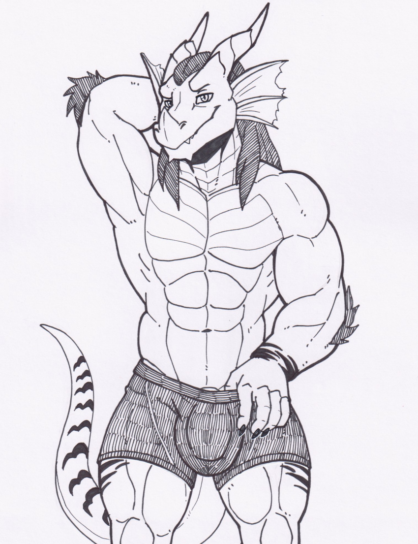 anthro balls_outline boxers_(clothing) bulge clothed clothing dragon ear_frill frill_(anatomy) genital_outline hi_res horn looking_at_viewer male muscular nameless00 penis_outline pose scalie smile smirk solo topless underwear