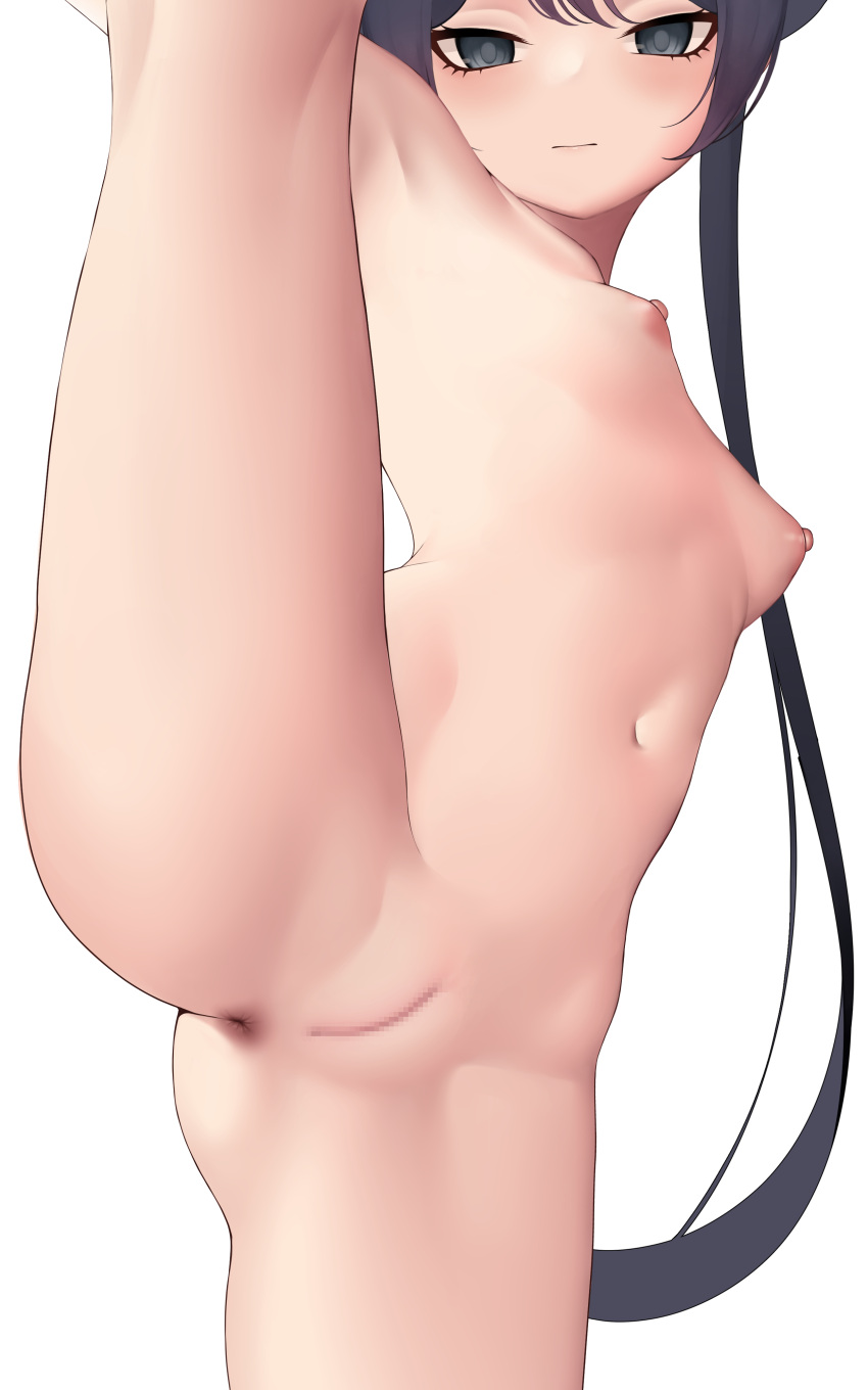 1girl absurdres anus black_eyes black_hair blue_archive breasts censored closed_mouth completely_nude highres kanon'yuyu kisaki_(blue_archive) long_hair mosaic_censoring navel nipples nude pussy simple_background small_breasts solo split standing standing_on_one_leg standing_split very_long_hair white_background
