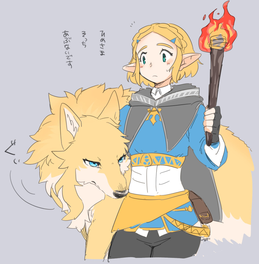 2023 alternate_species ambiguous_gender black_cape black_nose blonde_hair blue_clothing blue_eyes blush canid canine canis clothing countershading digital_media_(artwork) domestic_dog duo female feral feralized fire fluffy fur hair hi_res holding_object holding_torch humanoid humanoid_pointy_ears hylian inner_ear_fluff japanese_text link male_(lore) mammal nintendo princess_zelda tan_body tan_fur tan_inner_ear_fluff text the_legend_of_zelda torch translated tsukune_minaga tuft yellow_body yellow_fur