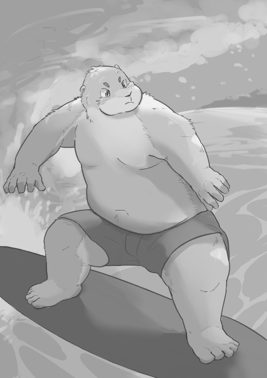 2023 absurd_res anthro belly bottomwear clothing detailed_background en_1_9 hi_res kemono male mammal mustelid otter outside overweight overweight_male shorts solo surfboard surfing swimwear water