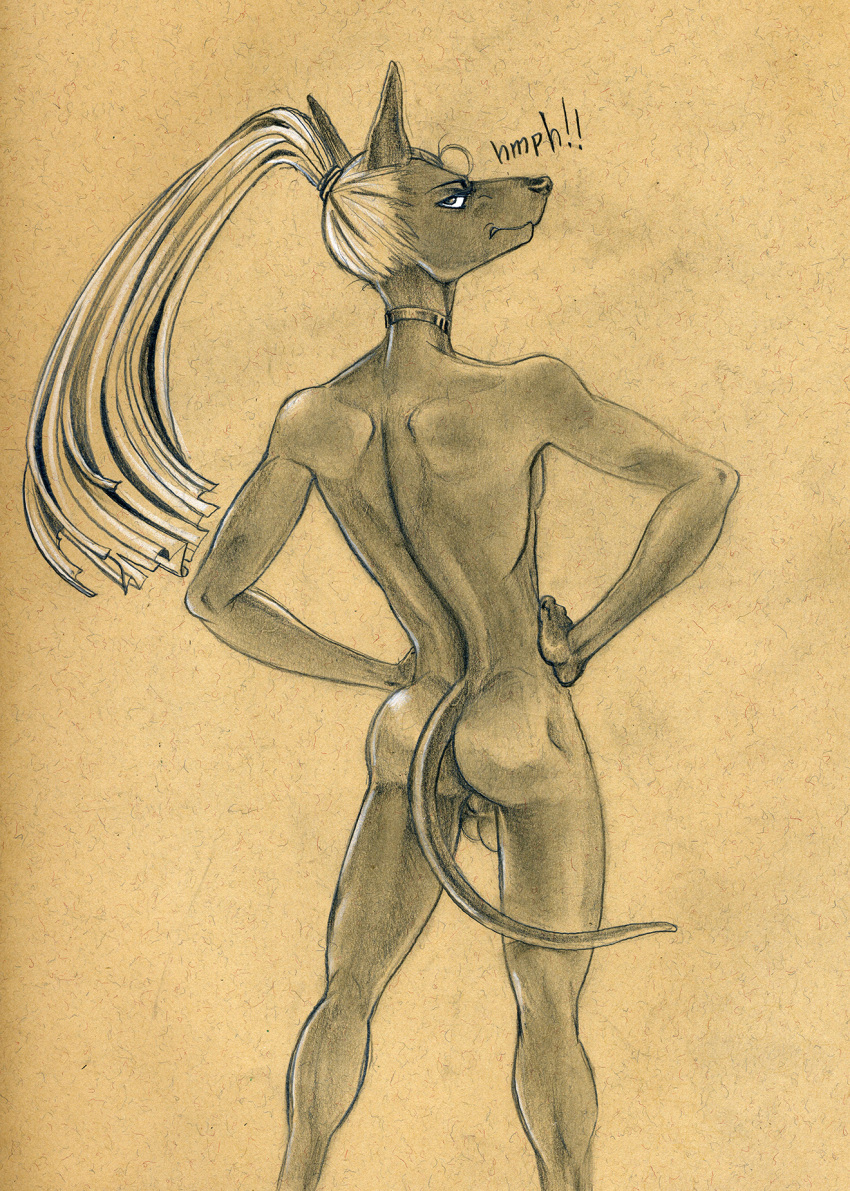 2018 annoyed anthro arched_back backsack balls butt canid canine canis choker frown genitals hair hands_on_hips hi_res hmph jackal jewelry long_hair long_ponytail looking_at_viewer looking_back male mammal monochrome necklace nude ponytail portrait pose rear_view scowl sepia simple_background slim solo tan_background textured_background three-quarter_portrait tush