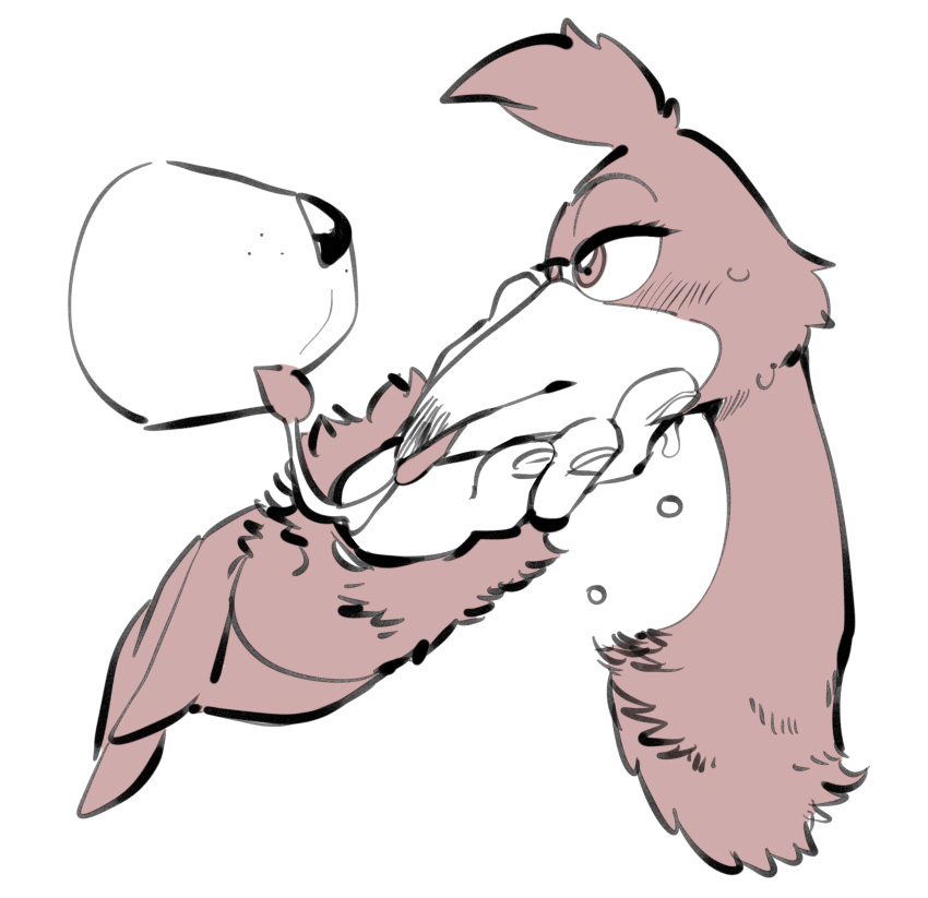 2023 absurd_res after_kiss ambiguous_gender anthro avian banjo-kazooie banjo_(banjo-kazooie) beak beak_grab bear bodily_fluids breegull duo female female/ambiguous female_focus hi_res interspecies kazooie mammal oposa rareware saliva saliva_string solo_focus tongue tongue_out