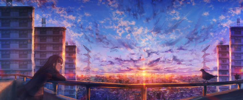 1girl bird black_hair blunt_bangs building city cityscape cloud commentary_request crow day dusk highres kenzo_093 leaning leaning_forward original outdoors power_lines railing scenery sidelocks sky solo sunset transmission_tower