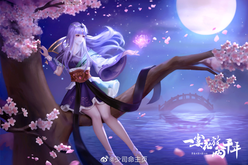 1girl absurdres asymmetrical_sleeves bridge cherry_blossoms falling_petals flower highres in_tree long_hair lotus moon night parted_lips petals pingfan_fannie purple_eyes purple_hair qinshi_mingyue reflection second-party_source shao_siming_(qin_shi_ming_yue) sitting sitting_in_tree solo teeth tree veil water white_footwear