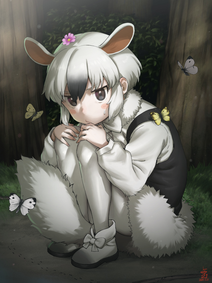 1girl :/ animal animal_ears artist_logo between_legs black_hair blush_stickers bow bowtie brown_eyes bug butterfly closed_mouth dated dress extra_ears eyelashes flower flower_on_head footwear_bow full_body fur_collar fur_trim hands_on_own_knees hands_up highres ito_yoki kemono_friends kemono_friends_3 knees_up long_sleeves looking_at_viewer medium_hair multicolored_hair on_ground outdoors pale_skin pantyhose parted_bangs shoes sitting southern_tamandua_(kemono_friends) tail tail_between_legs tamandua_ears tamandua_tail two-tone_hair v-shaped_eyebrows white_hair white_pantyhose