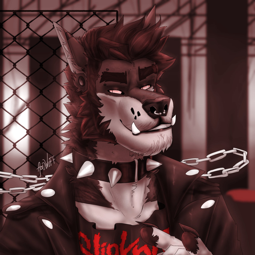 1:1 acidwuff anthro beard chain clothed clothing collar ear_piercing eyebrow_piercing facial_hair facial_piercing front_view gauged_ear hair hi_res jacket larry_(acidwuff) male neck_tuft nose_piercing nose_ring piercing pupils ring_piercing septum_piercing septum_ring short_hair slit_pupils solo spiked_collar spikes topwear tuft