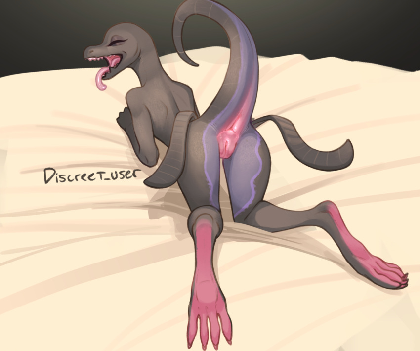 2023 anthro anus biped black_body butt claws digital_media_(artwork) discreet_user eyes_closed female generation_7_pokemon genitals hi_res lying nintendo on_front open_mouth pink_anus pink_body pink_pussy pink_tongue pokemon pokemon_(species) presenting presenting_hindquarters purple_body pussy raised_tail salazzle solo tail toe_claws tongue tongue_out