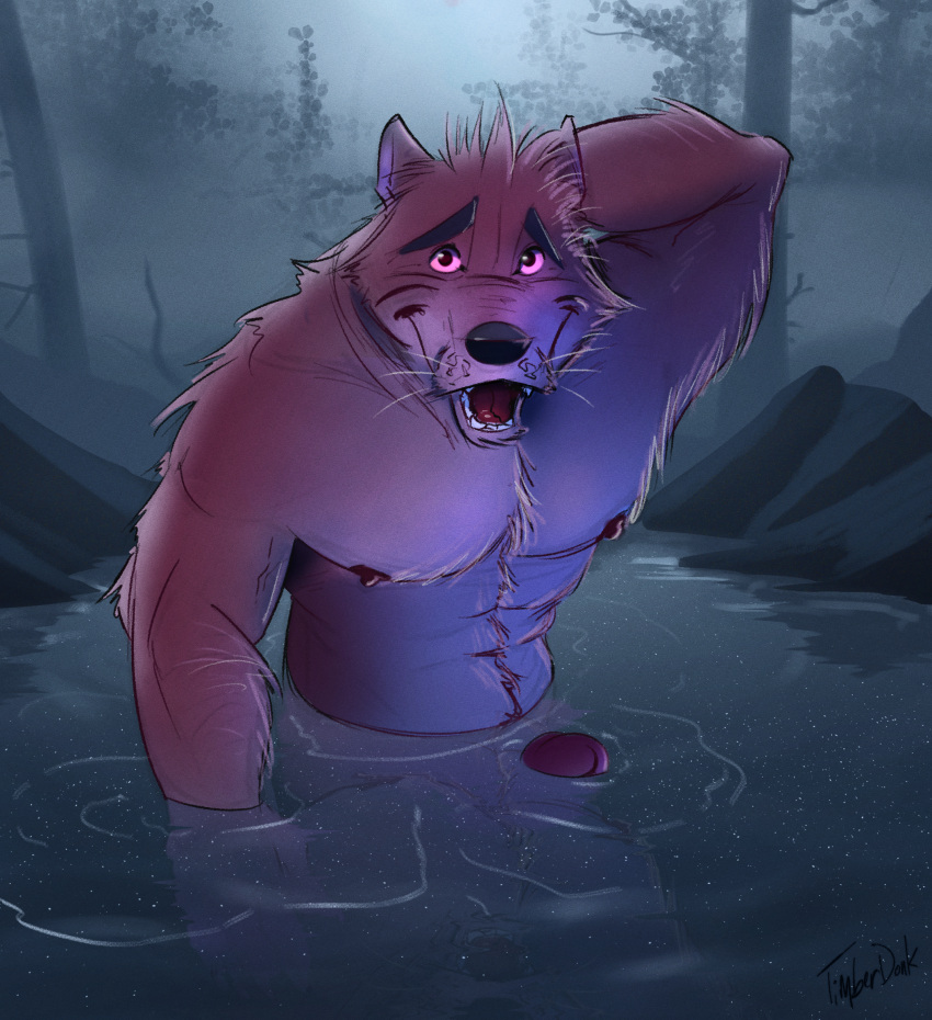 canid canine canis detailed_background erection fog forest genitals hi_res male mammal muscular nature nipples nude outside partially_submerged penis plant pond signature timberdonk tree water were werecanid werecanine werewolf wolf