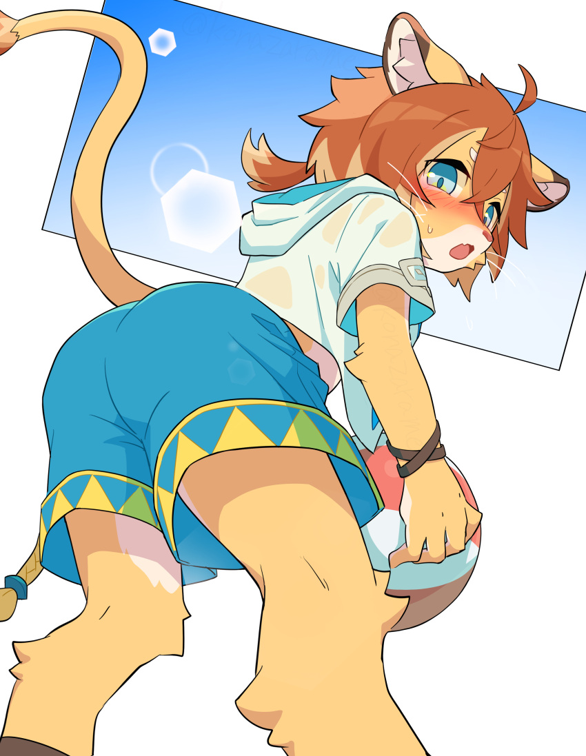 2023 absurd_res ahoge ankle_tuft anthro arm_tuft ball blue_clothing blue_eyes blue_pupils blue_swimming_trunks blue_swimwear blush bodily_fluids brown_hair brown_tipped_ears butt butt_focus cheek_tuft clothing countershading elbow_tuft eyebrows facial_tuft felid furgonomic_bottomwear hair hi_res inner_ear_fluff knee_tuft konazarame leg_tuft lens_flare lion looking_at_viewer looking_back looking_back_at_viewer low-angle_view male mammal midriff pantherine ponytail pupils shirt solo sweat sweatdrop swimming_trunks swimwear t-shirt tail tail_tuft teo_(world_flipper) topwear translucent translucent_hair tuft volleyball_(ball) whiskers white_body white_countershading white_eyebrows white_inner_ear_fluff world_flipper