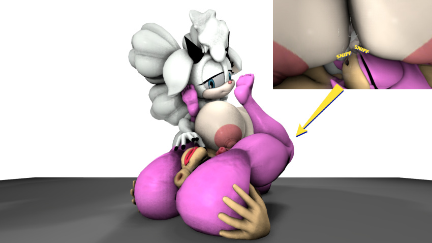 3d_(artwork) amy_rose anthro anus areola arrow_sign big_breasts big_butt bodily_fluids bovid breasts butt caprine cutaway digital_media_(artwork) duo eulipotyphlan female female/female fur genital_fluids genitals green_eyes grin half-closed_eyes hand_on_butt hedgehog hi_res horn huge_breasts idw_publishing lanolin_the_sheep_(sonic) legs_up lying mammal multicolored_body narrowed_eyes nude on_back on_ground onomatopoeia pink_areola pink_body potatermino_(artist) pussy pussy_juice raised_leg sega sheep simple_background smile sniffing sonic_the_hedgehog_(comics) sonic_the_hedgehog_(idw) sonic_the_hedgehog_(series) sound_effects tan_body text two_tone_body white_background white_body white_fur white_wool wool_(fur)