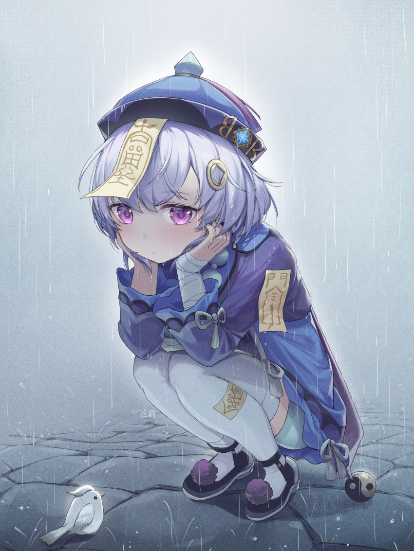 1girl absurdres arm_support bandaged_arm bandages bird blue_shorts braid coin_hair_ornament commentary_request genshin_impact hair_between_eyes hair_ornament hat head_rest highres jiangshi long_hair long_sleeves looking_at_viewer low_ponytail ofuda ofuda_on_clothes ofuda_on_head outdoors purple_eyes purple_hair qing_guanmao qiqi_(genshin_impact) rain shirt shorts sidelocks single_braid solo squatting thighhighs wet wet_clothes wet_shirt white_thighhighs zx961219