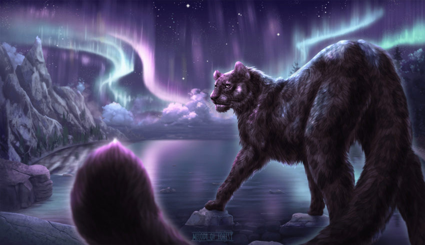 felid feral hi_res lake lights male mammal melodyofforest night northern pantherine rock solo star
