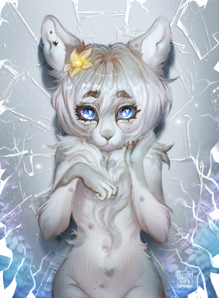 anthro blue_eyes blush confusion cute_eyes female flower fur hair hi_res ice intersex kaneda_chan lagomorph leporid male maleherm mammal nude plant portrait rabbit simple_background smile solo white_body white_fur white_hair