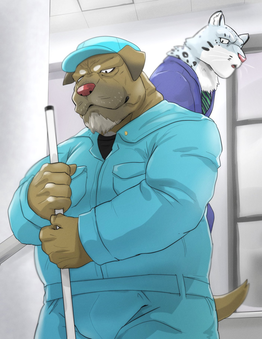 age_difference anthro beard blue_uniform brown_body canid canine canis chubby_anthro chubby_male debirobu domestic_dog duo facial_hair felid fur grey_body grey_fur grumpy hi_res janitor male mammal office_clothing office_worker older_male pantherine red_nose snow_leopard