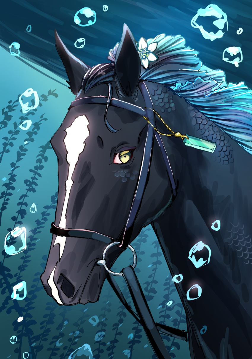 bridle bubble cosplay flower flower_request highres horse kelp kelpie looking_at_viewer manhattan_cafe_(racehorse) manhattan_cafe_(the_bubbles_that_i_see_with_you)_(umamusume) manhattan_cafe_(umamusume) manhattan_cafe_(umamusume)_(cosplay) nayuta_ggg no_humans portrait real_life reins scales seaweed summer's_sunlight_fades_to_blue_(umamusume) umamusume underwater white_flower yellow_eyes