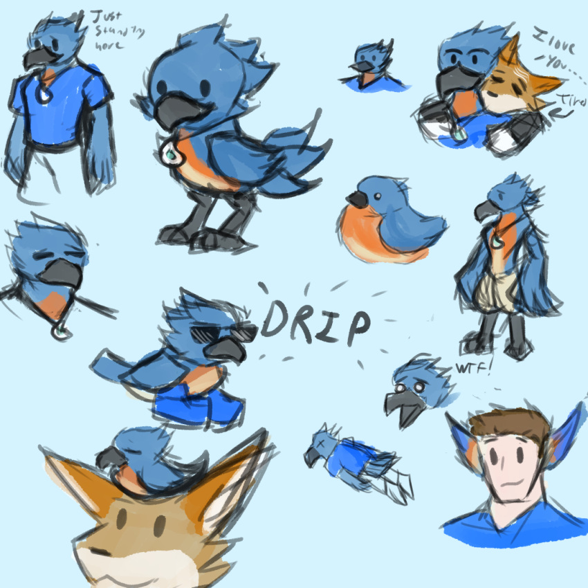 antifreezetea avian bird bluebird canid canine canis chocobo coyote eastern_bluebird final_fantasy human hybrid invalid_tag male mammal neptune_mereaux oscine passerine sketch sketch_page square_enix thrush_(bird)