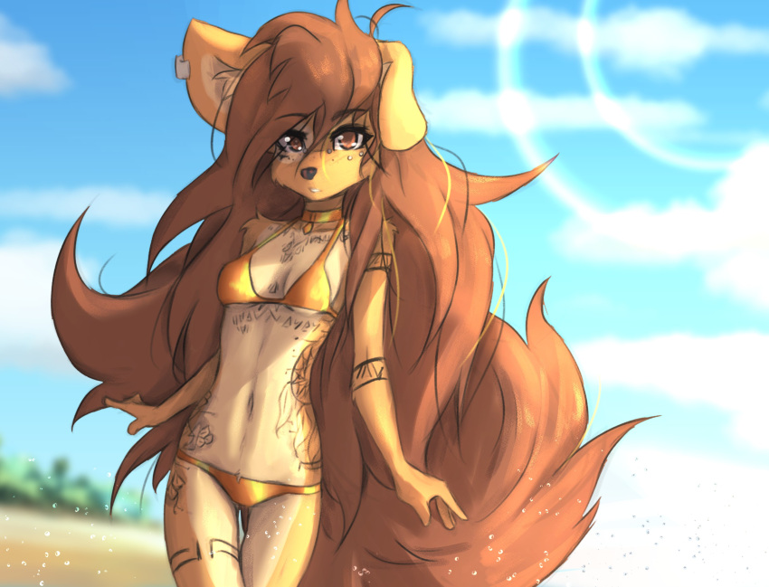 2023 absurd_res anthro apogee_(tinygaypirate) bikini breasts canid canine canis clothed clothing cloud day digital_media_(artwork) domestic_dog female female_anthro floppy_ears fur hair hi_res kemono long_hair looking_at_viewer mammal navel outside piercing portrait sky small_breasts solo spitz swimwear tail tattoo thigh_gap three-quarter_portrait tinygaypirate