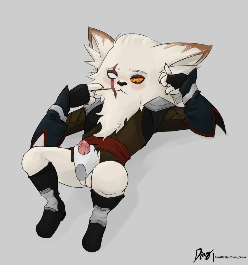 anthro blush diam_snow disembodied_hand erection eye_scar facial_scar genitals hi_res kled_(lol) league_of_legends looking_at_genitalia looking_at_penis male pantsless penis picking_teeth riot_games scar shoes_on solo yordle