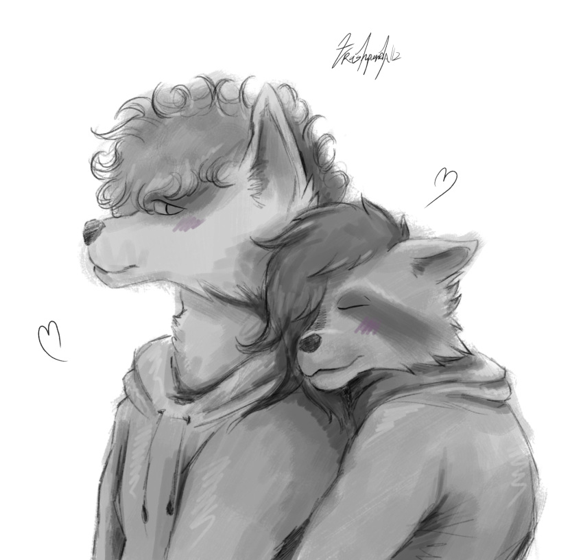 anthro duo embrace hi_res hug male male/male romantic romantic_couple trashpanda112