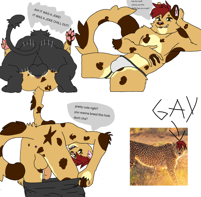 anthro anus butt cheetah clothing duo felid feline hi_res jockstrap kingofpowerbottoms male male/male mammal meme pantherine sex shitpost solo underwear update