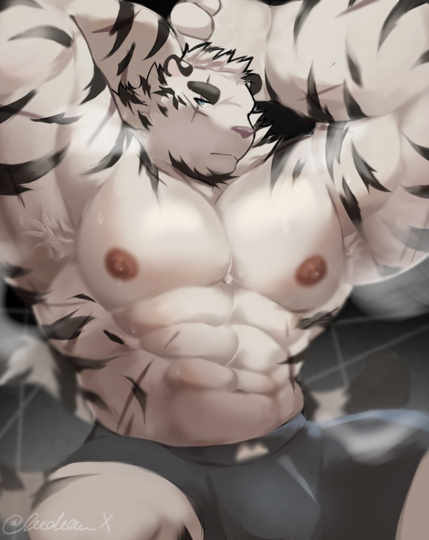 1boy abs animal_ears arknights armpit_hair armpits arms_behind_head artist_request bara boxers facial_hair furry furry_male goatee grey_male_underwear highres large_hands large_pectorals male_focus male_underwear mountain_(arknights) muscular muscular_male nipples pectorals presenting_armpit scar scar_across_eye scar_on_arm short_hair sitting solo steaming_body stomach sweat thick_eyebrows tiger_boy tiger_ears topless_male underwear white_hair