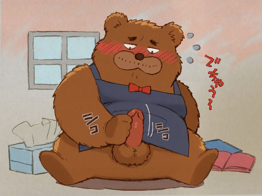 2023 anthro apron balls bear blush bow_tie brown_body brown_fur clothing erection fur gamma-g genitals hi_res japanese_text kemono kumalino male mammal masturbation penis roast_(kumalino) sanrio sitting solo text