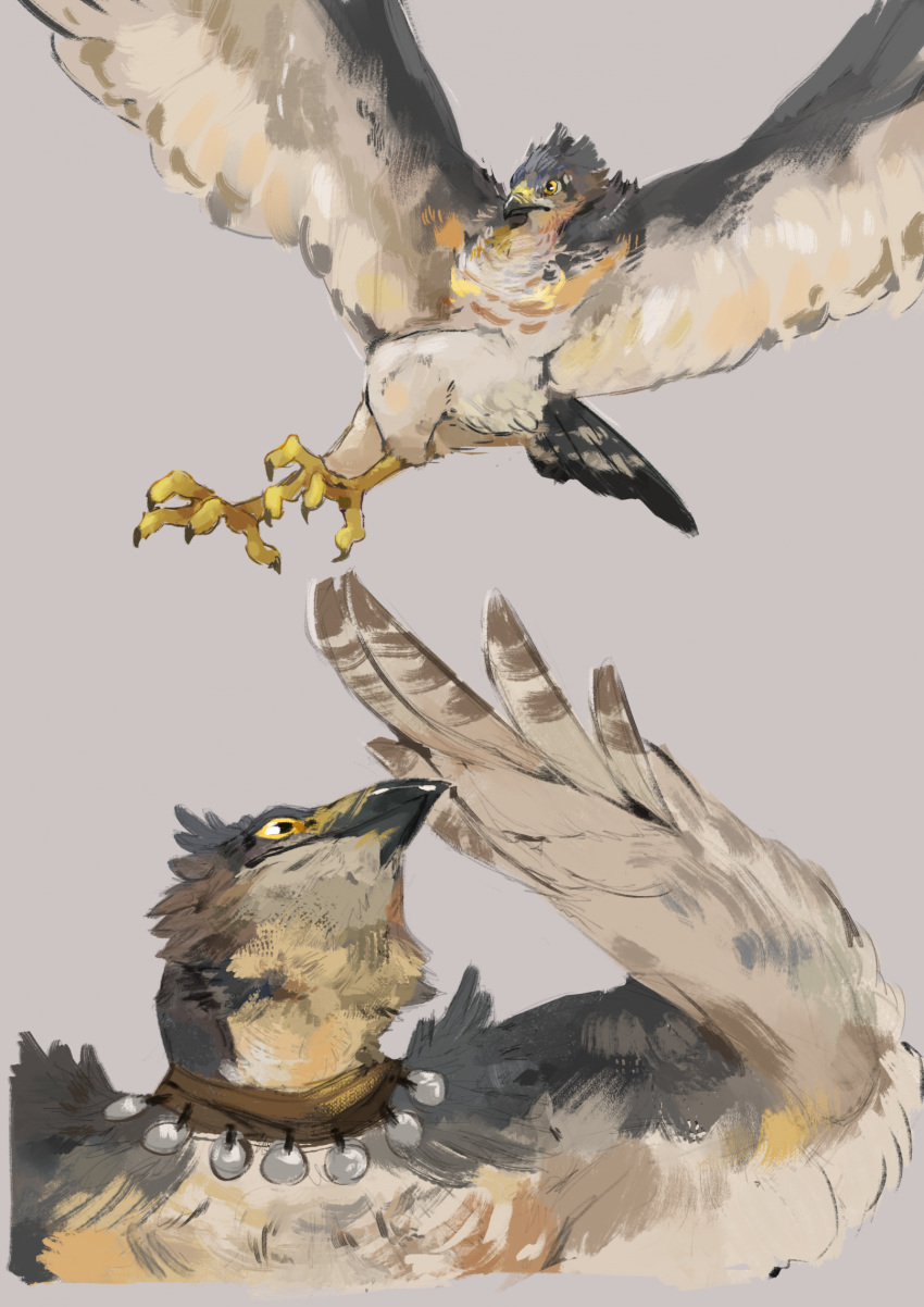 2021 ambiguous_gender anthro avian babanasaur beak bird black_beak black_claws bust_portrait claws digital_media_(artwork) duo falcon falconid feathered_wings feathers flying grey_background grey_body grey_feathers hi_res jewelry looking_forward looking_up necklace portrait simple_background sketch white_body white_feathers wings yellow_beak yellow_eyes yellow_feet
