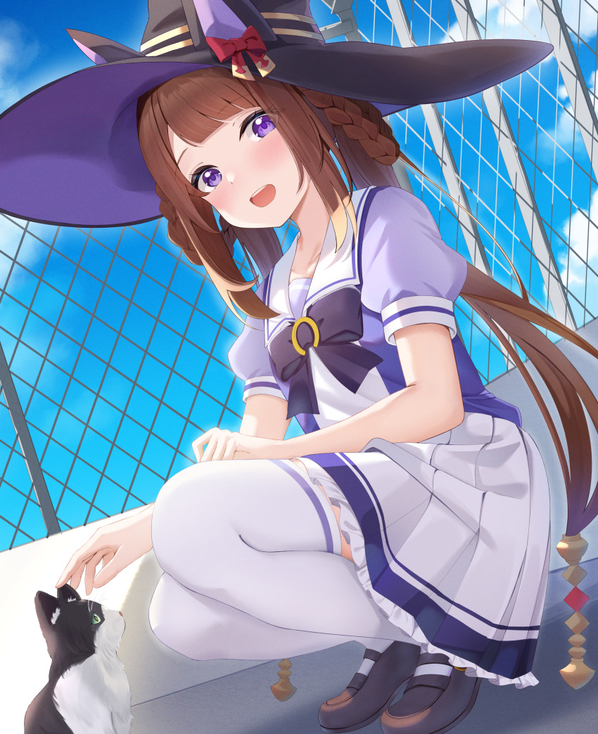 1girl absurdres animal_ears blush breasts brown_hair cat collarbone commentary_request fence hair_rings hat highres horse_ears horse_tail kanno_esuto long_hair looking_at_viewer open_mouth ribbon school_uniform shoes sitting sky small_breasts solo sweep_tosho_(umamusume) tail thighhighs tracen_school_uniform umamusume witch_hat