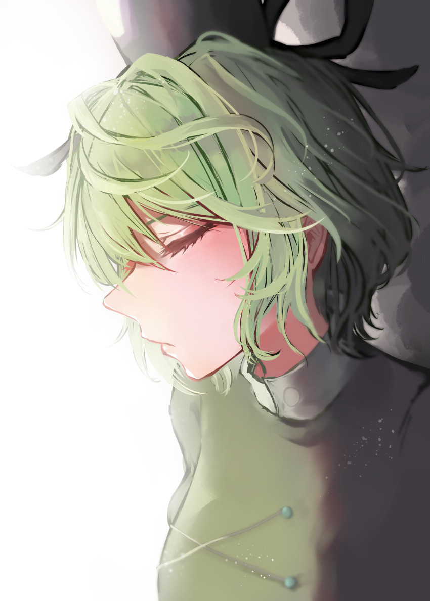 1girl absurdres bloom closed_eyes closed_mouth dress expressionless eyelashes green_dress green_hair hair_between_eyes hat highres overexposure profile short_hair sidelighting soga_no_tojiko solo takana_(forsterite) tate_eboshi touhou upper_body