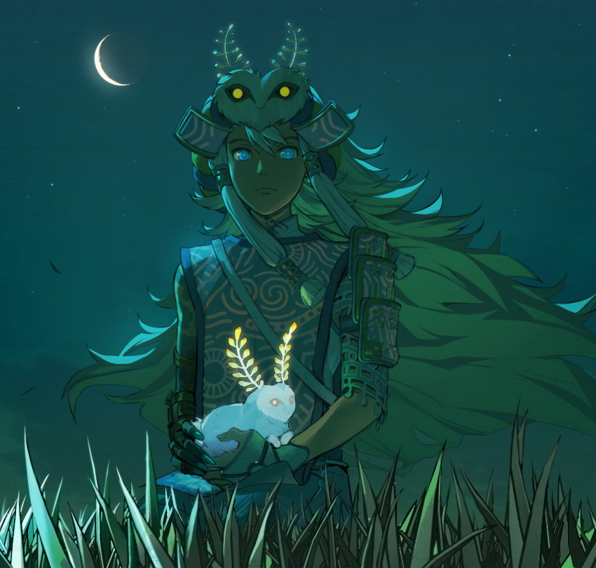 1boy animal armor black_skin blue_eyes colored_skin fingernails grass hat highres holding holding_animal link long_hair male_focus night outdoors sharp_fingernails short_sleeves shoulder_plates sitting solo sophie_(693432) the_legend_of_zelda the_legend_of_zelda:_tears_of_the_kingdom upper_body white_nails