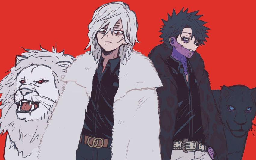 2boys ametaro_(ixxxzu) black_hair black_panther black_shirt blue_eyes boku_no_hero_academia burn_scar cheek_piercing coat dabi_(boku_no_hero_academia) fur_coat grey_hair highres lion male_focus medium_hair multiple_boys multiple_scars red_background red_eyes scar scar_on_face shigaraki_tomura shirt short_hair simple_background spiked_hair staple stapled wrinkled_skin