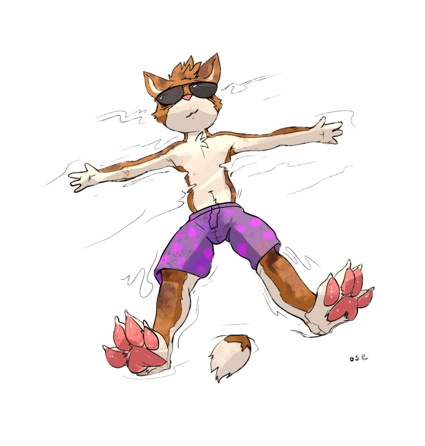 anthro barefoot bottomwear brown_body brown_fur brown_hair cheek_tuft clothed clothing domestic_cat eyewear facial_tuft feet felid feline felis front_view fur glasses hair hi_res male mammal mouth_closed obscured_eyes oselotti partially_submerged pawpads purple_bottomwear purple_clothing purple_shorts red_pawpads short_hair shorts signature solo sunglasses topless tuft wearing_glasses white_body white_fur
