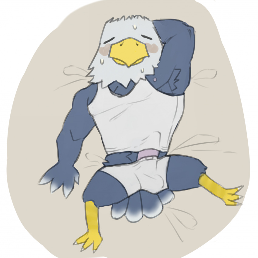 accipitrid accipitriform animal_crossing anthro apollo_(animal_crossing) armpit_hair avian bald_eagle bird blush bodily_fluids body_hair bulge clothed clothing eagle erection erection_under_clothing feathers genitals hands_behind_head hi_res lucusfox male mature_male nintendo penis sea_eagle shirt solo sweat tank_top tired topwear underwear