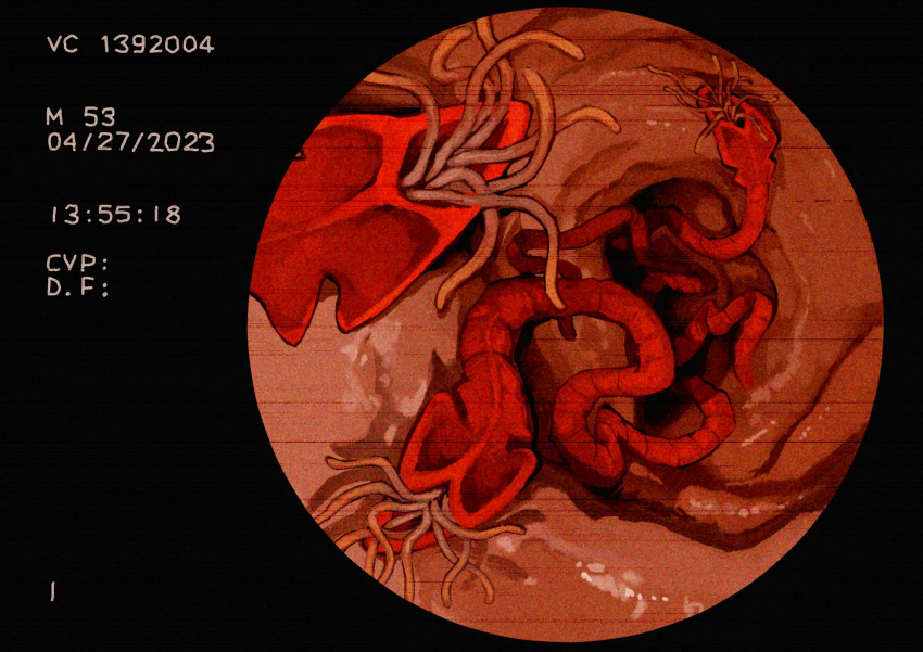 ambiguous_gender armless eyeless feral flatworm group hi_res internal legless noseless not_furry number red_body serpentine tail tentacles text vich worm