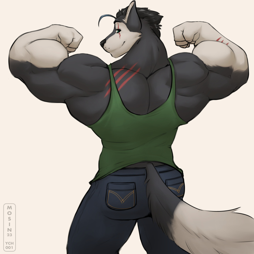 absurd_res anthro biceps canid canine canis clothing domestic_dog flexing hi_res husky male mammal mosin muscular nordic_sled_dog rear_view shirt solo spitz tank_top tokitechie topwear wolf