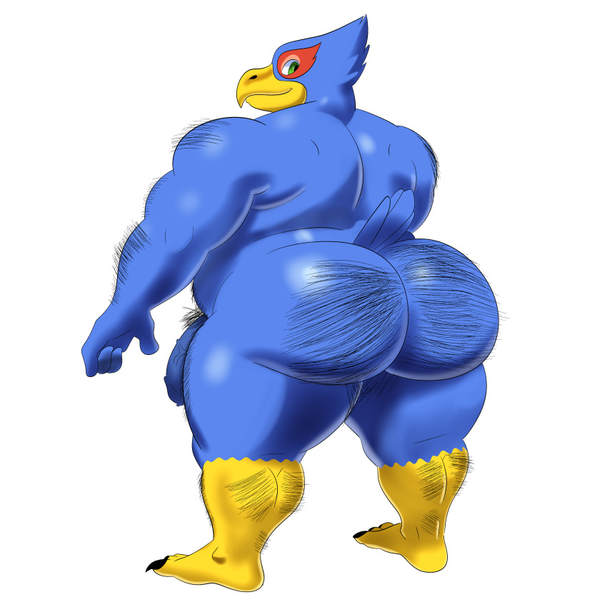 1:1 absurd_res anthro big_butt body_hair butt butt_hair falco_lombardi flaccid genitals hairy_arms hi_res humanoid leg_hair looking_back male muscular nintendo penis possbooty pubes slightly_chubby solo star_fox