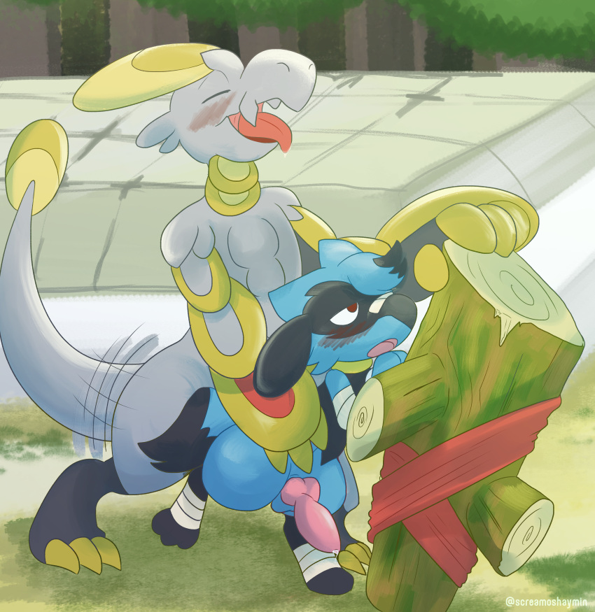 absurd_res anal bandage from_behind_(disambiguation) generation_4_pokemon generation_7_pokemon genitals hakamo-o hi_res knot male male/male nintendo penis pokemon pokemon_(species) pokemon_mystery_dungeon riolu screamoshaymin