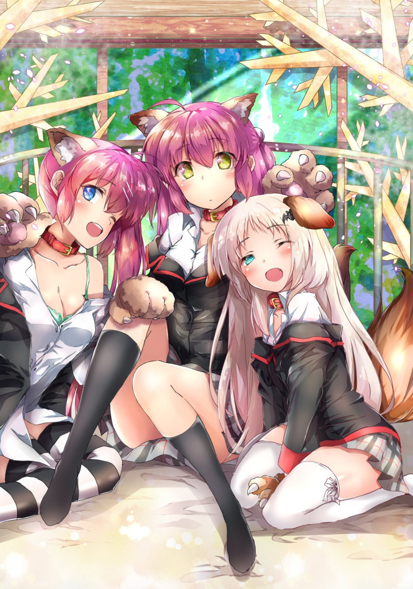 3girls :d ahoge animal_collar animal_ear_fluff animal_ears animal_hands aqua_eyes bat_hair_ornament between_legs black_jacket black_socks blue_eyes blush bra breasts ca2la cleavage collar collarbone commentary convenient_leg day dog_ears dog_tail dress_shirt expressionless eyelashes eyes_visible_through_hair futaki_kanata gloves green_bra hair_between_eyes hair_ornament hair_over_shoulder half_updo hand_between_legs hand_on_another's_knee highres jacket kneehighs knees_up large_breasts little_busters! long_hair looking_at_viewer multiple_girls no_shoes noumi_kudryavka off_shoulder one_eye_closed open_mouth outdoors paw_gloves paw_pose ribbon ribbon-trimmed_thighhighs saigusa_haruka school_uniform seiza shirt short_ponytail side_ponytail sitting smile socks striped striped_thighhighs tail thighhighs underwear very_long_hair white_ribbon white_shirt white_thighhighs yellow_eyes zettai_ryouiki