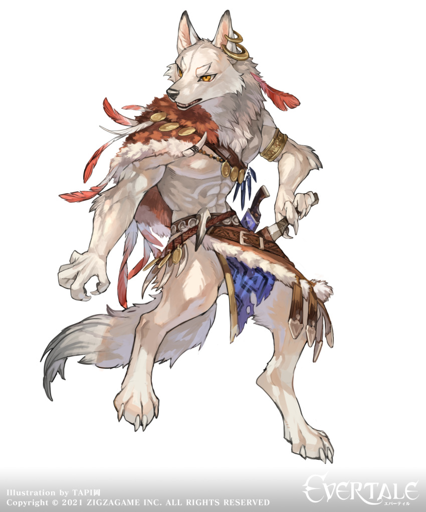 4_toes 5_fingers anthro biped bottomwear canid canine canis claws clothing english_text evertale feet fingers fur hi_res loincloth male mammal official_art simple_background solo tail text toes white_background wolf wolftapioca zigzagame