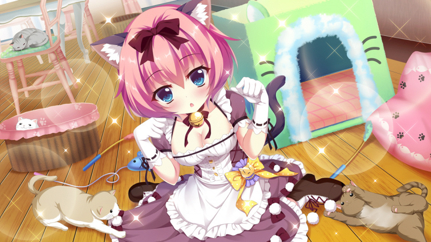 1girl :&lt; animal_ears basket bell blue_eyes boots bow breasts brown_cat brown_footwear cat cat_ears cat_tail cat_teaser chair cleavage dot_nose dress dutch_angle fake_animal_ears fake_tail film_grain frilled_dress frills game_cg gloves grey_cat hair_bow hiiragi_kae indoors izumi_tsubasu jingle_bell large_breasts lens_flare looking_at_viewer non-web_source official_art on_floor open_mouth paw_pose paw_print paw_print_pattern pink_hair puffy_short_sleeves puffy_sleeves purple_skirt re:stage! red_bow short_hair short_sleeves sitting skirt solo sparkle table tail wariza white_cat white_gloves wooden_floor