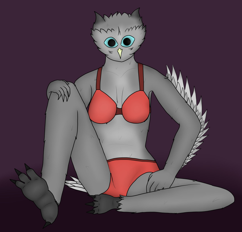 absurd_res anthro avian beak bird blue_eyes bra breasts casual_exposure clothed clothing feathered_tail feathered_wings feathers female generic06 grey_body grey_feathers hi_res olivia_(generic06) owl red_bra red_clothing red_underwear sitting solo tail talons underwear underwear_only wings yellow_beak