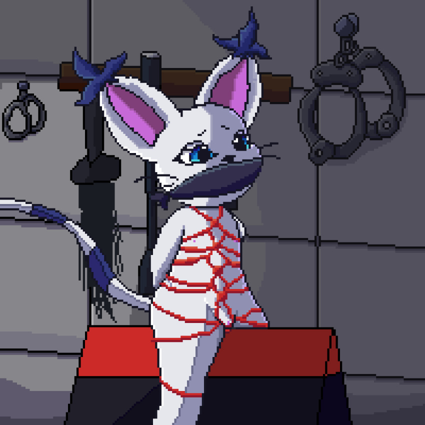 1:1 animated anthro arms_tied bandai_namco bdsm blue_eyes bondage bound digimon digimon_(species) female fur gatomon genitals hi_res lawealewd purple_body purple_fur pussy restraints rope rope_bondage rope_harness short_playtime solo tuft white_body white_fur wooden_horse_(device)