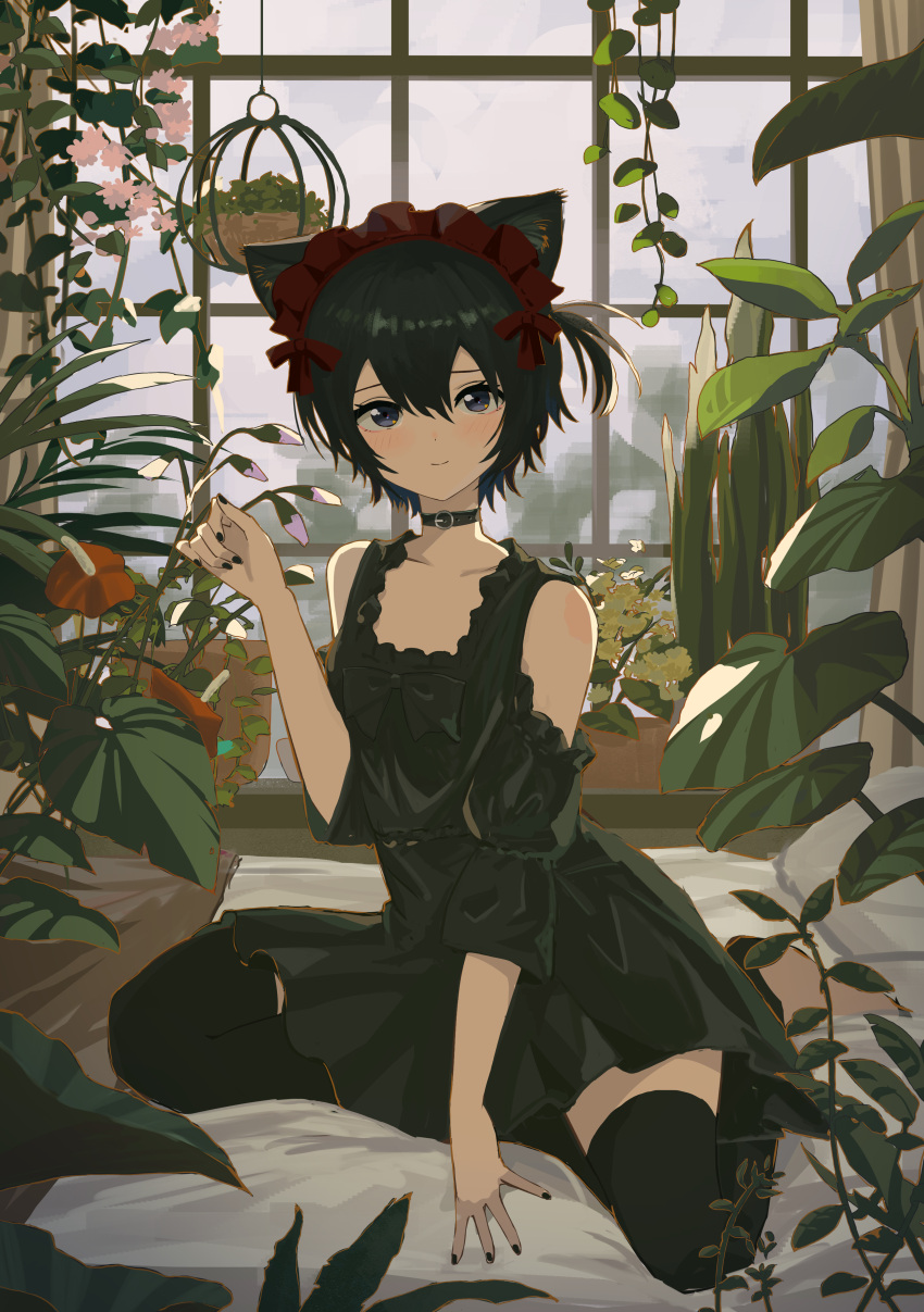 1girl absurdres animal_ears bare_shoulders black_bow black_choker black_dress black_hair black_nails black_thighhighs blue_eyes bow cat_ears choker closed_mouth collarbone commentary_request dress evening hair_between_eyes hair_bow highres indoors kgt_(pixiv12957613) light_blush light_smile looking_at_viewer maid_headdress nail_polish one_side_up original paw_pose plant potted_plant red_bow red_headwear short_hair sitting smile solo stirrup_legwear thighhighs toeless_legwear wariza