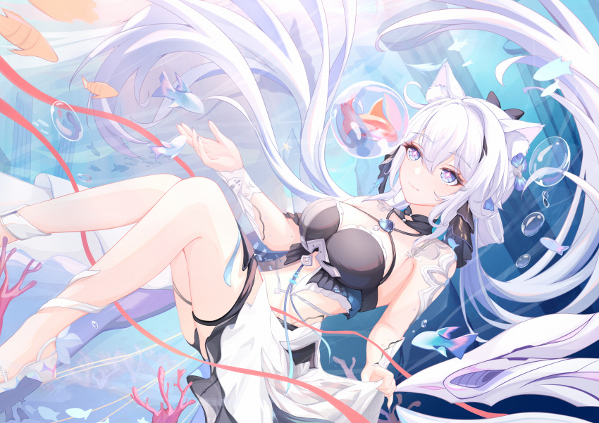 +_+ 1girl absurdres animal_ear_fluff animal_ears bikini black_bikini blackheart` blue_eyes breasts bubble cat_ears chinese_commentary cleavage closed_mouth commentary commentary_request fish floating_hair hair_between_eyes highres honkai_(series) honkai_impact_3rd kiana_kaslana kiana_kaslana_(herrscher_of_finality) large_breasts long_hair official_alternate_costume purple_eyes skirt smile solo swimsuit thigh_strap very_long_hair white_hair